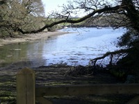 View from the end of Percuil Creek