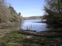 View from the end of Percuil Creek