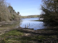 View from the end of Percuil Creek