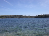 Boats at St. Mawes