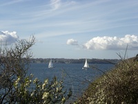 Two yachts