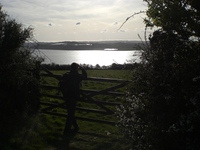 Looking across the bay from the footpath home