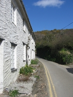 View up through Polkerris