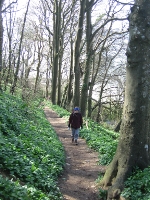 Helen climbing through the woods