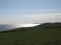 Gribbin Head