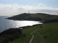 Gribbin Head