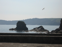 View from the end of Charlestown harbour