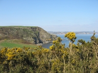 View north from Black Head