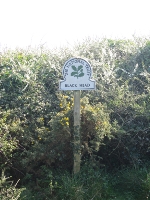 Black Head sign