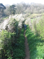 Field-side path