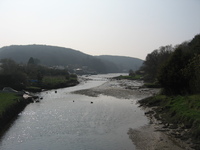 View from Lerryn bridge