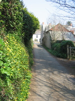The lane leading to the riverside