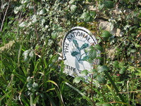 Ethy Woods sign