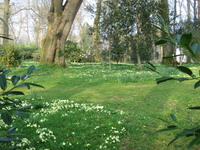 Private garden near Ethy