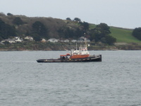 Very low in the water off Trefusis Point