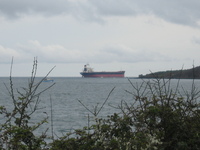 Huge ship waiting outside Falmouth