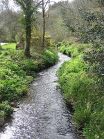 Stream at Lower Mill