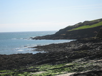 Rocks at Towan beach