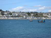 Gathering lobsters at St. Mawes