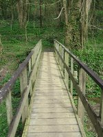 Footbridge across the pill head at Froe