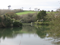 Porth Creek at Froe