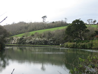 Porth Creek at Froe