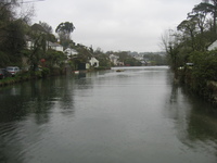 View from the head of Helford