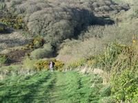 Climb up to Gorran Churchtown