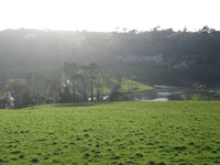 Caerhays Castle