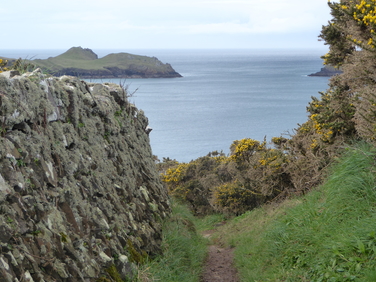 Cornish wall