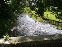 Bridging the river