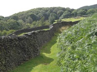 Walled path on Blawith Common