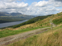 Looking North along Coniston