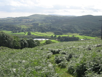 First view of Nibthwaite