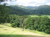 The landscape opens up over Miller Brow