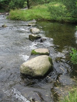 Stepping stones