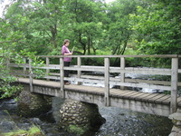 Bridge by the waterfall