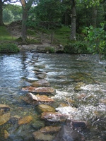 Stepping stones - are we about to cross those?