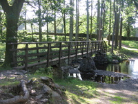 Wooden footbridge