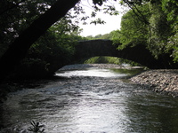 Road bridge over the river