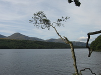 Looking north along Coniston Water