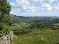 Field above Holehouse Gill