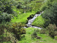 Cute bridge and streams