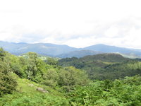 View towards Ambleside and Loughrigg Fell