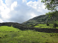 Lakeland walls