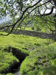 Bubbling brook