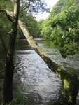 River at Seathwaite