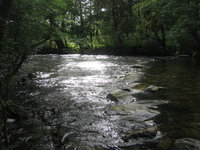 Stepping stones