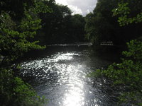 Sunlit river