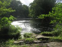 Last view of the river